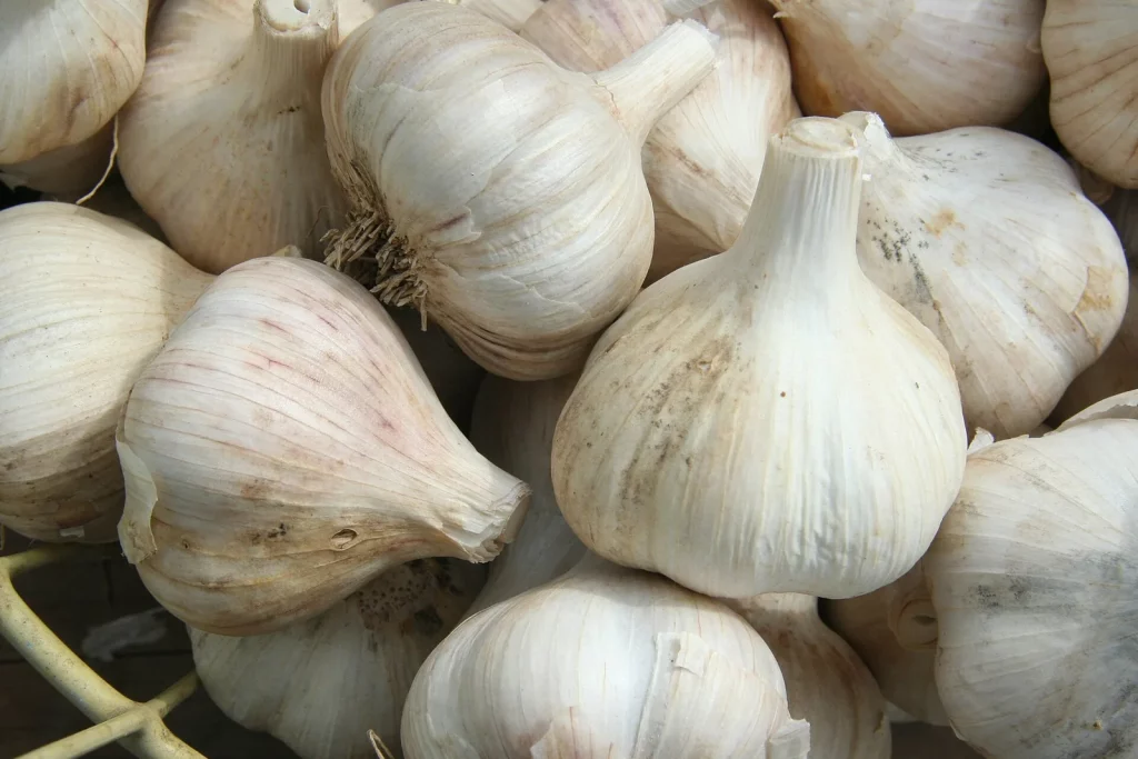 Têtes d'ail blanc entières dans un panier