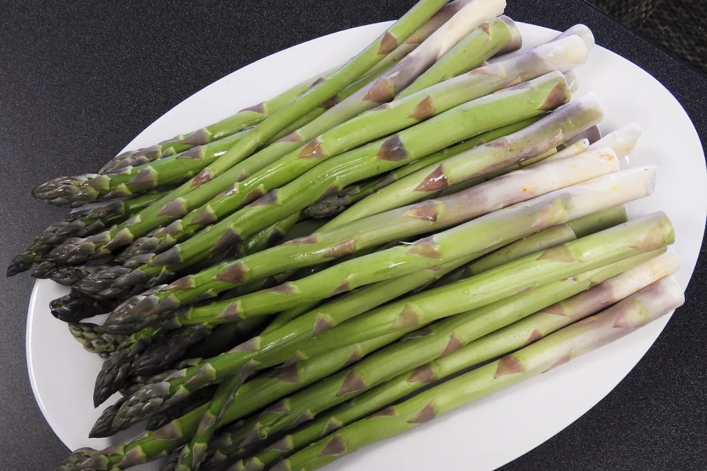 Turions d'asperges fraîchement récoltés