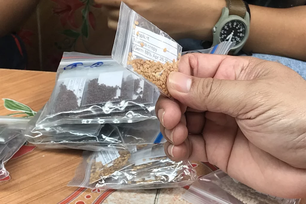 Mains tenant des sachets de graines potagères