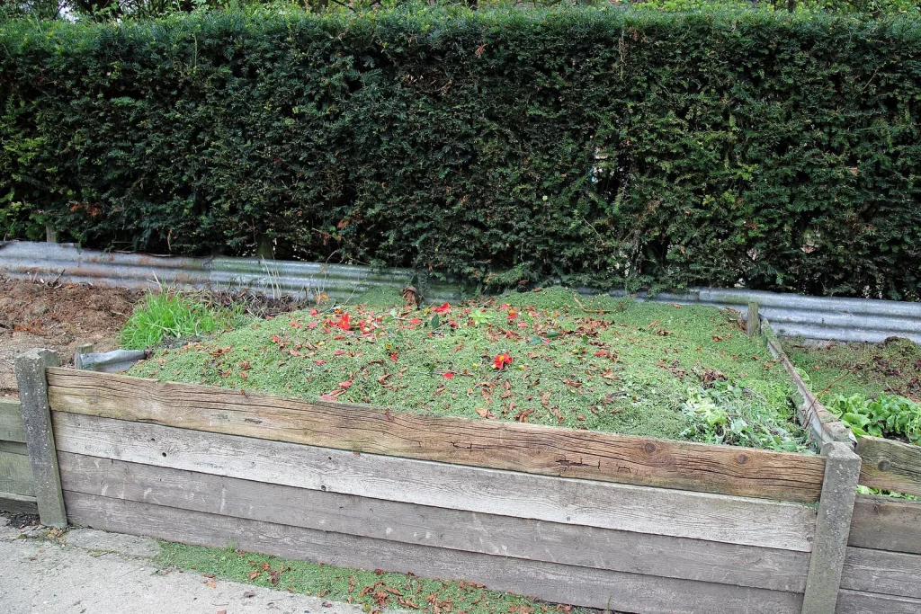 Bac à compost en bois rempli au fond d'un potager