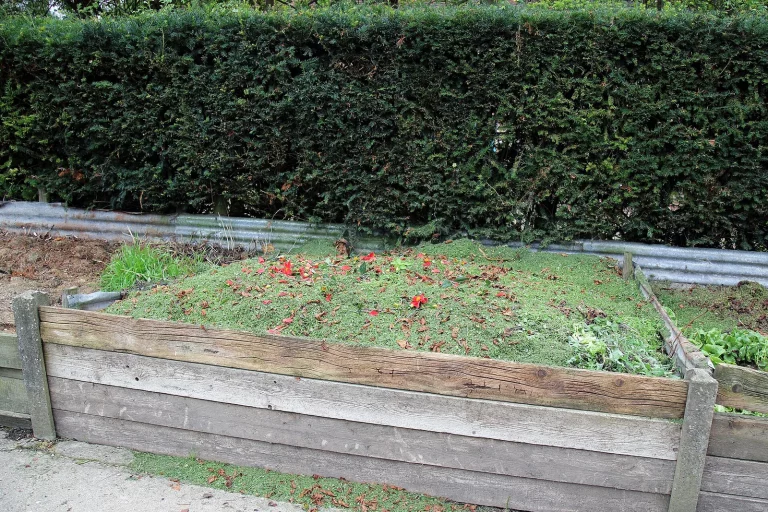 Bac à compost en bois rempli au fond d'un potager