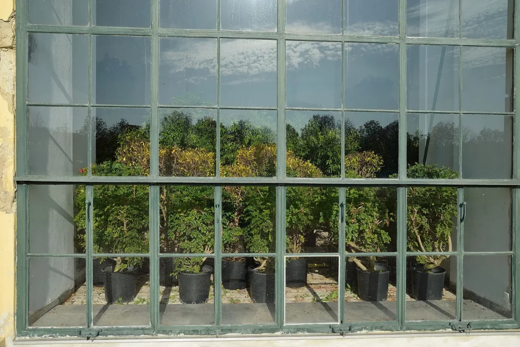 Plantes en pot à l'abri derrière les vitres d'une orangerie en hiver