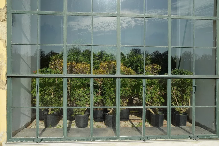 Plantes en pot à l'abri derrière les vitres d'une orangerie en hiver