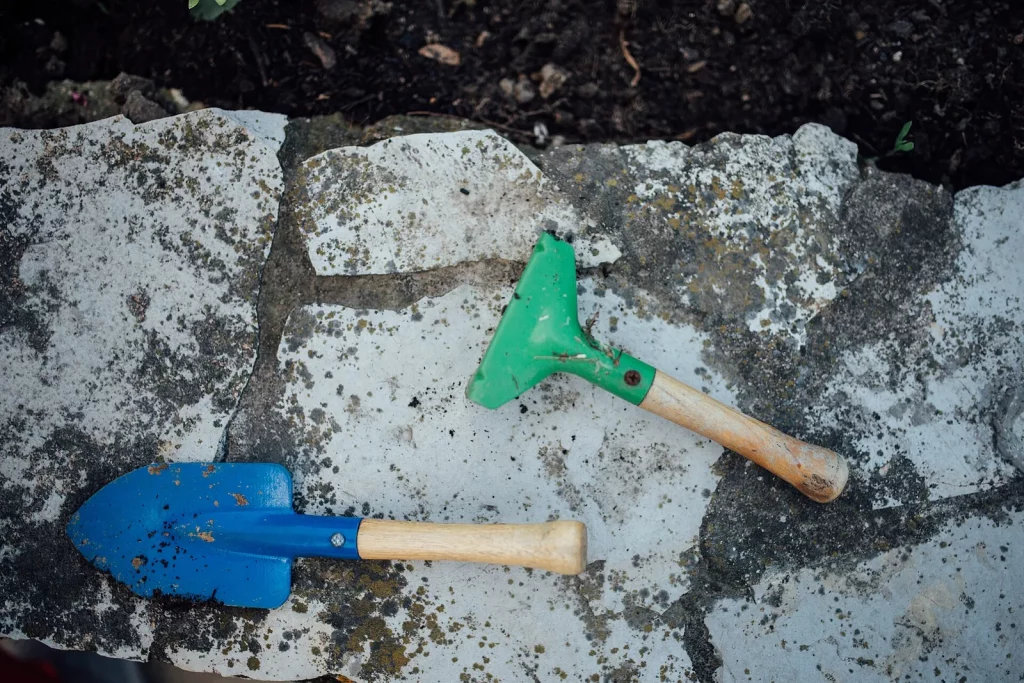 Deux petits outils de jardin, une pelle et un râteau