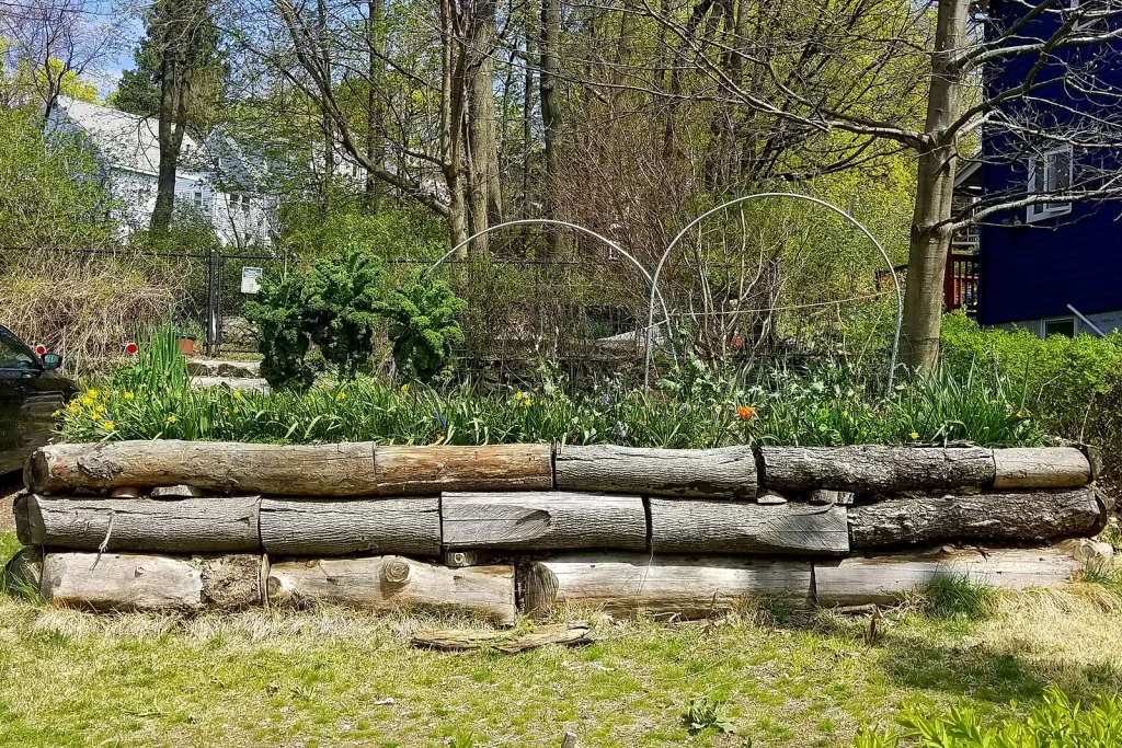 Butte de culture bordée de rondins de bois