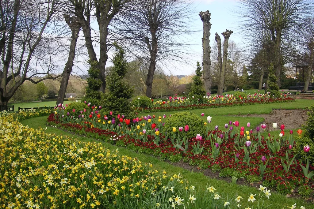 Massifs de tulipes et de jonquilles dans un parc au printemps