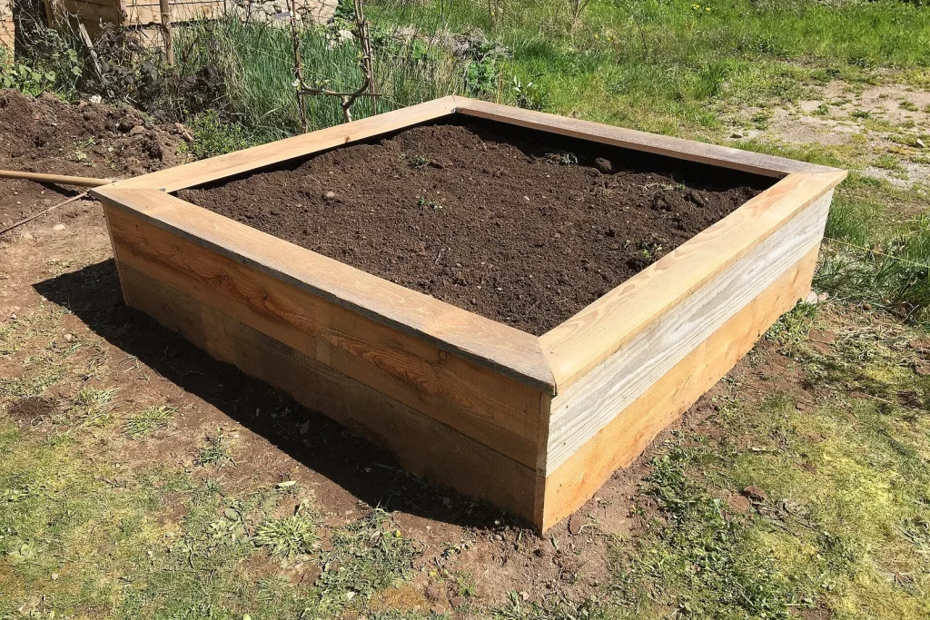 Carré potager en bois rempli de terre, prêt à planter