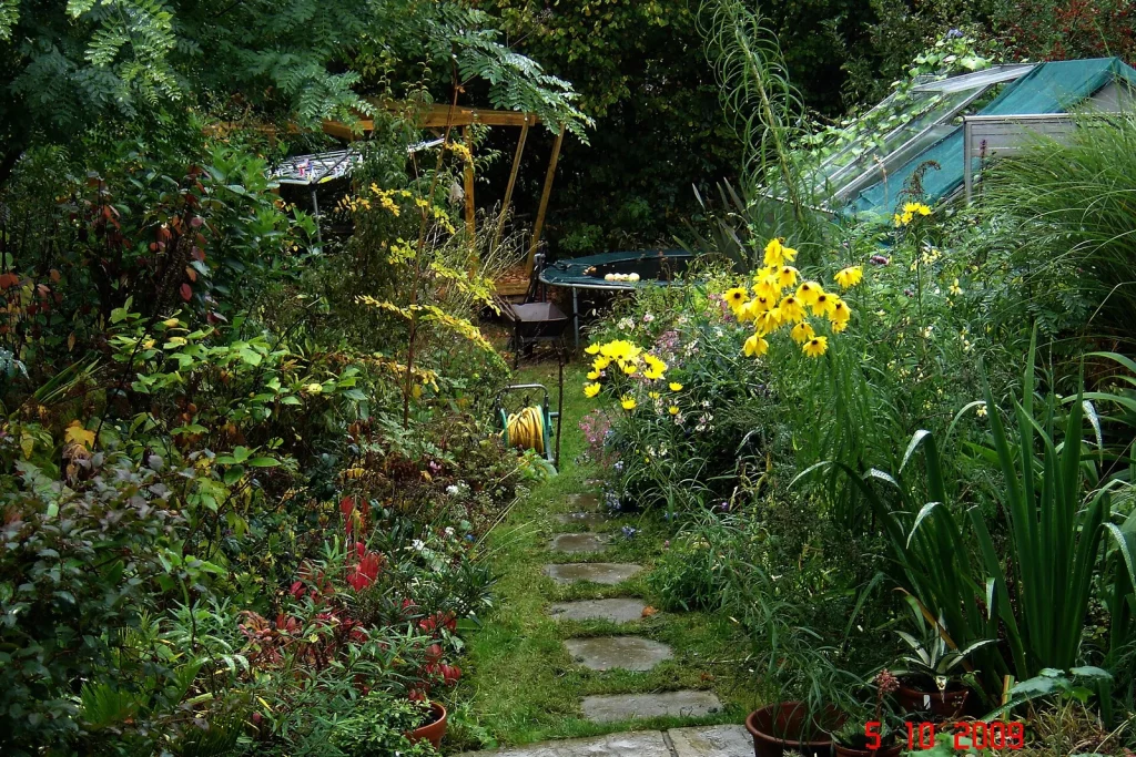 Allée en pas japonais dans un jardin d'automne aux massifs encore fleuris