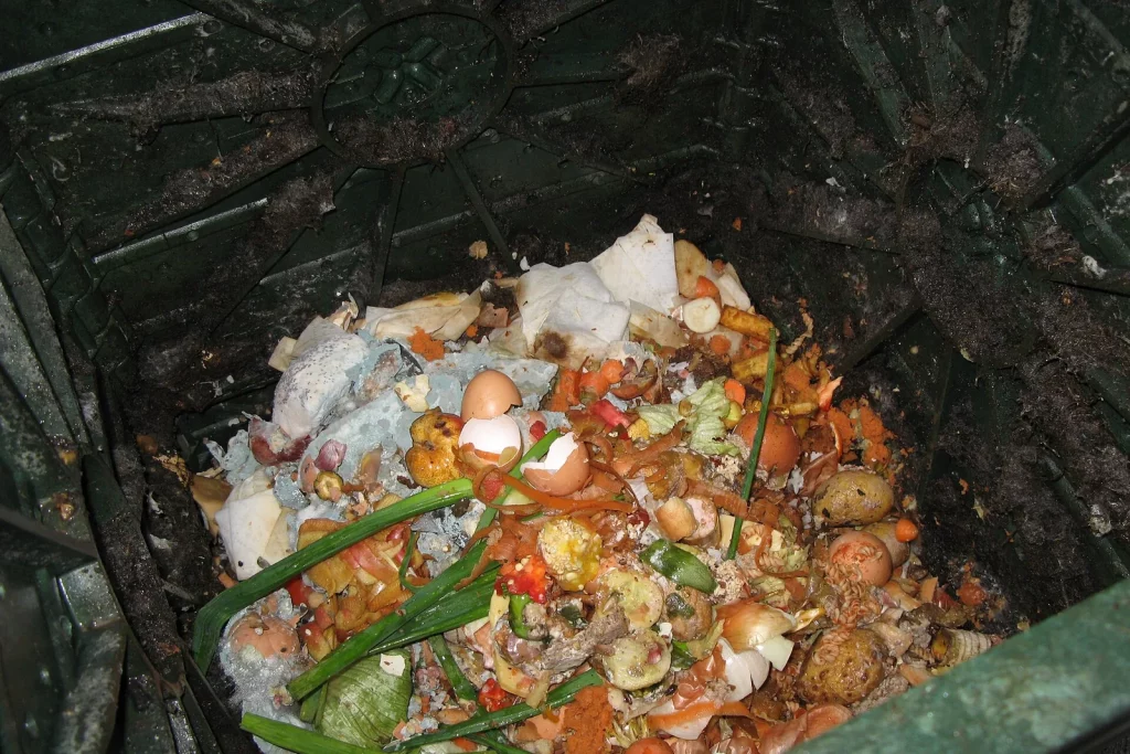 Épluchures de légumes et coquilles d'œufs dans un composteur