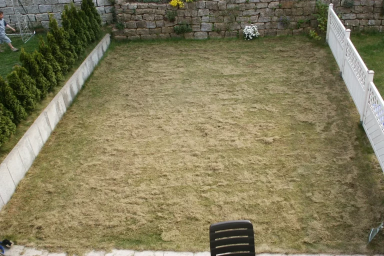 Pelouse juste après une scarification